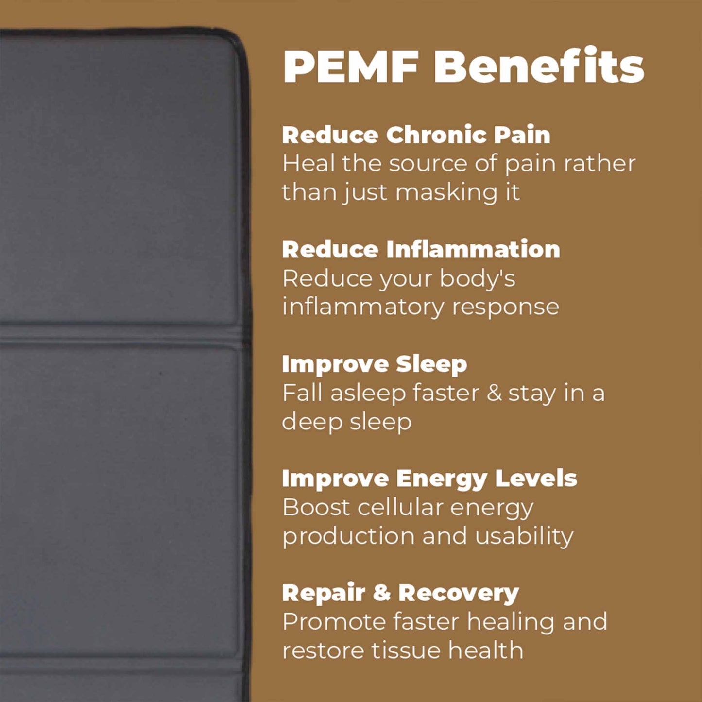 CELLER8 Desktop Biohacker Package TM - Arumi Companions