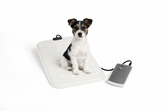 OMI PEMF PulsePad:- Ideal For Smaller breeds Cats And Dogs - Arumi Companions