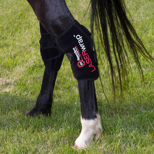 LASERwrap® Equine Professional Laser System - Arumi Companions