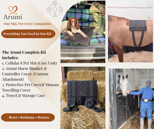 One PEMF Mat for Dogs, Horses & You | Arumi & Celler8