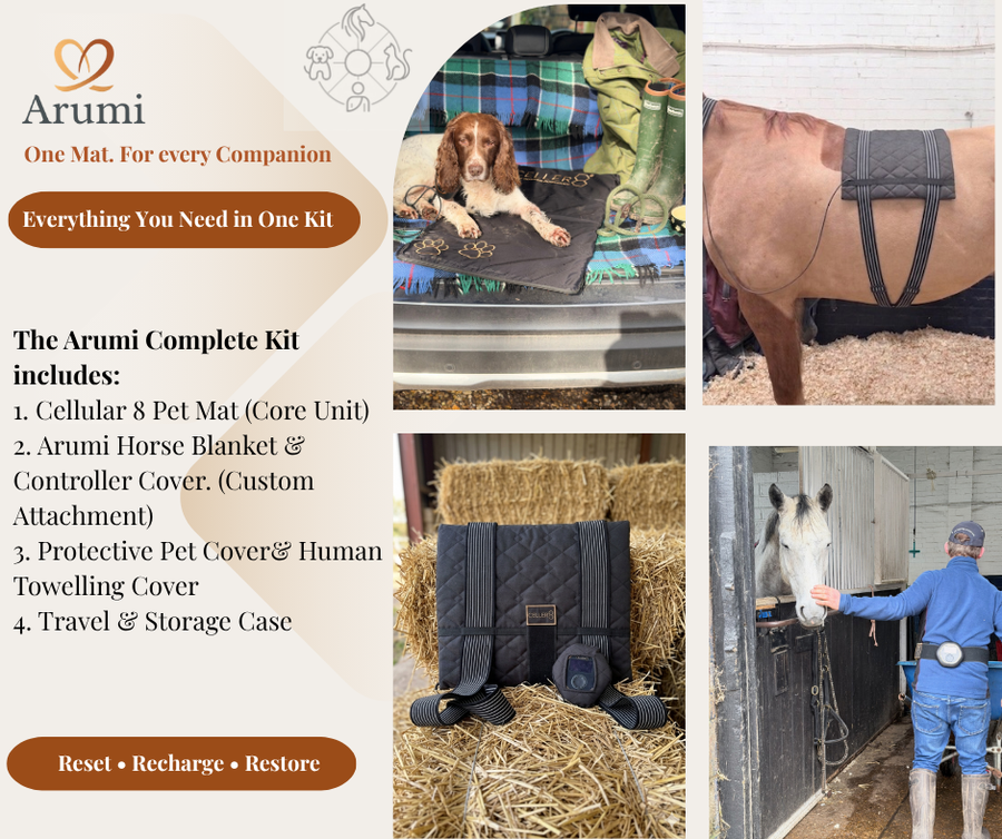 One PEMF Mat for Dogs, Horses & You | Arumi & Celler8