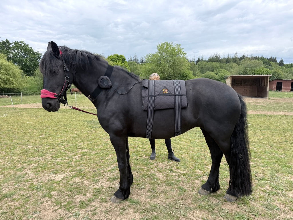 🐴 The Pure Equestrian Kit