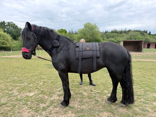 🐴 The Pure Equestrian Kit