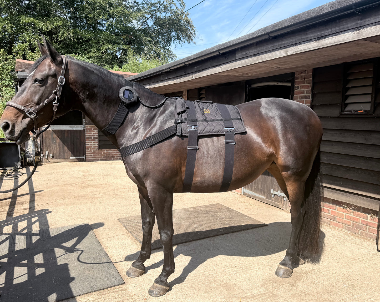 🐴 The Pure Equestrian Kit