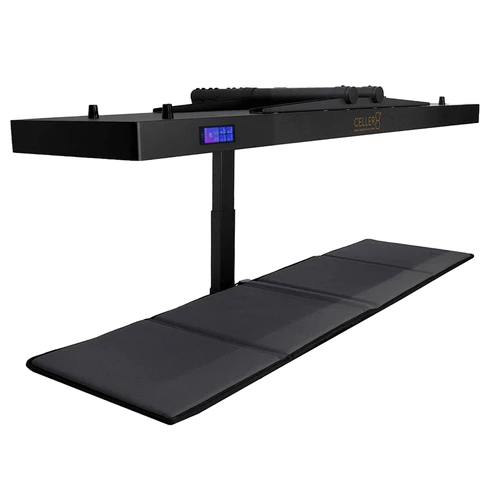 CELLER8 Biohacker Package - Arumi Companions 