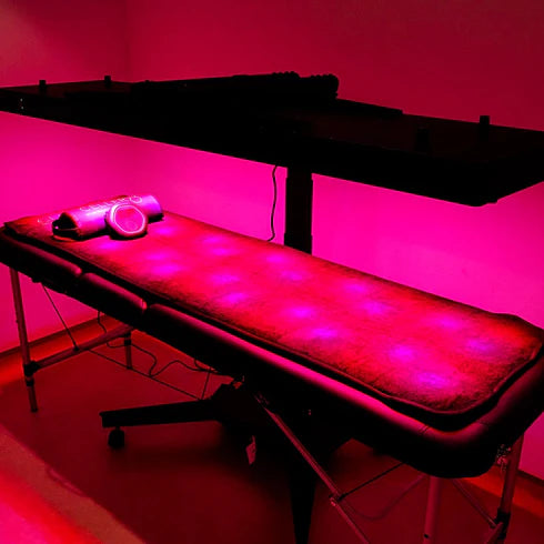 CELLER8 Biohacker Package - Arumi Companions 