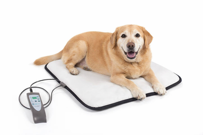 OMI PEMF MiniMat:- Ideal For Cats And Dogs Of All Sizes - Arumi Companions 