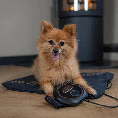 CELLER8® Small Pet Package - Arumi Companions 