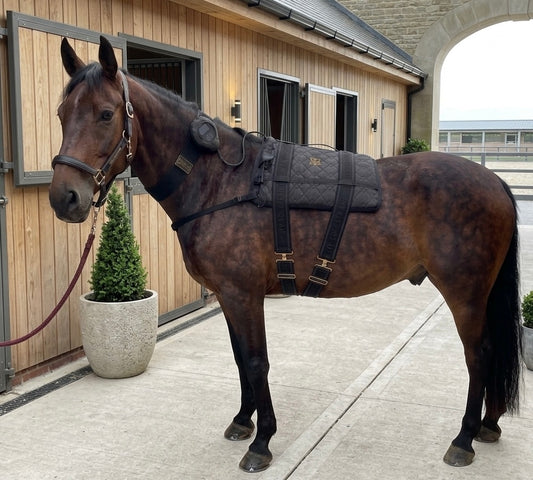 The Ultimate Equestrian Bundle