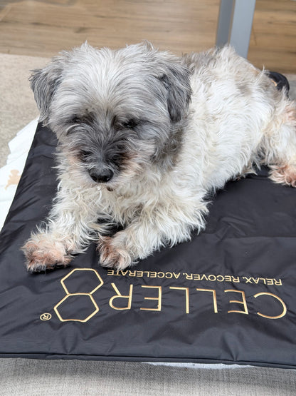 CELLER8® Large Pet Package