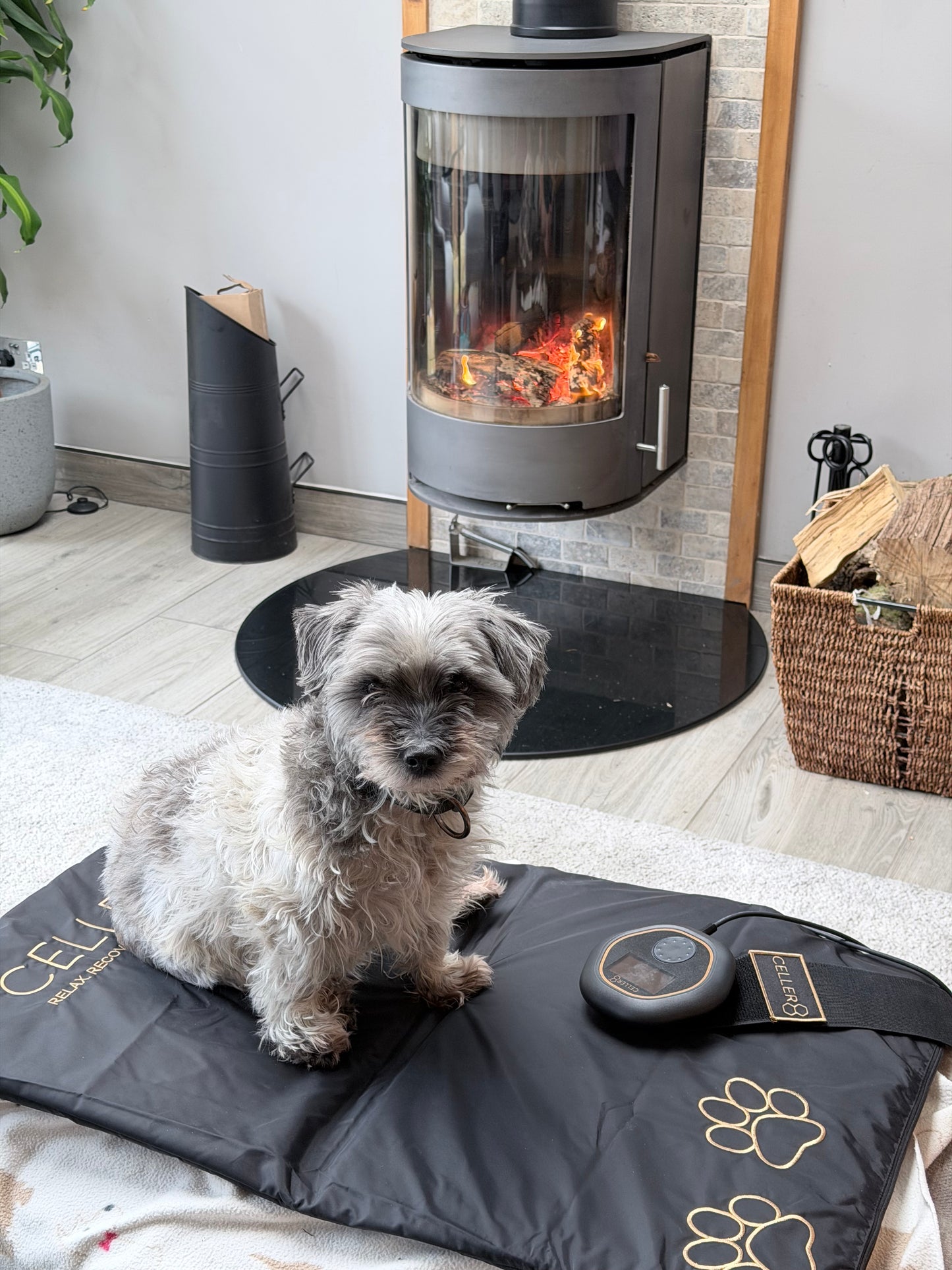 CELLER8® Large Pet Package