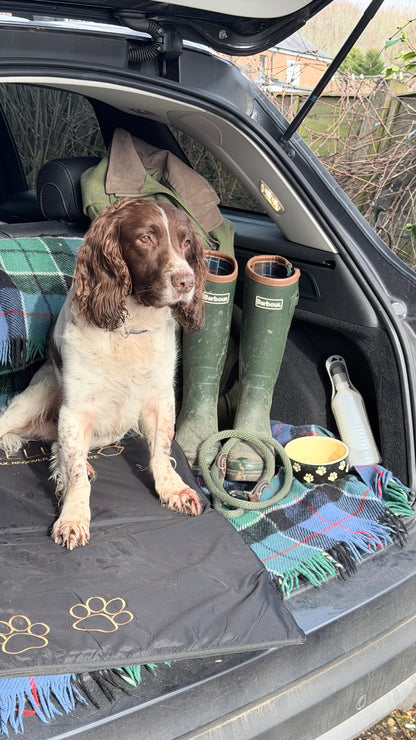 CELLER8® Large Pet Package