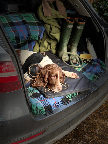 CELLER8® Large Pet Package