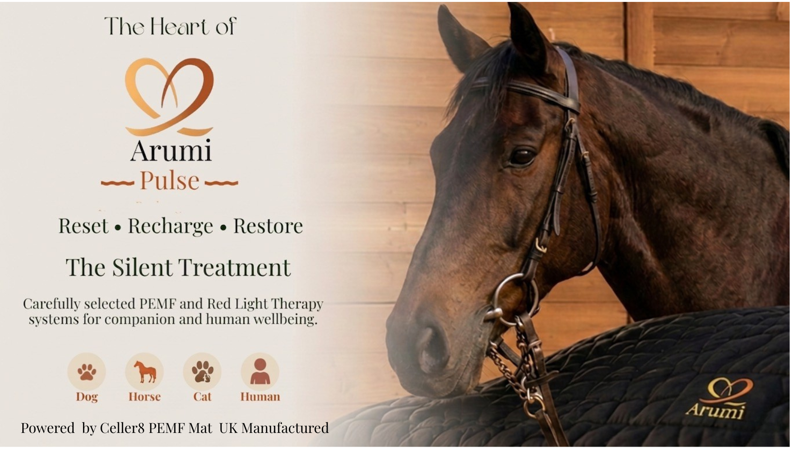 Horse with a bridle on a wooden background, featuring Arumi Pulse advertisement.