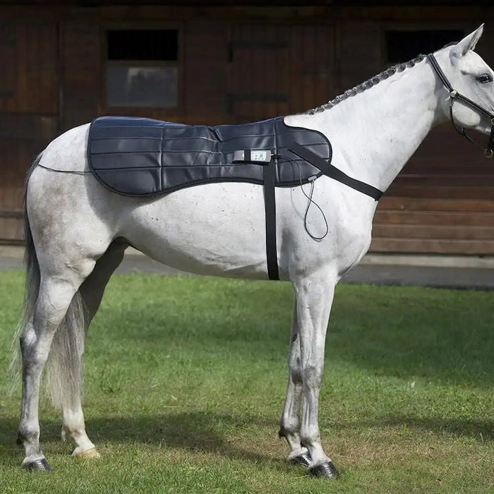 OMI PEMF Full Equine Package - Arumi Companions 