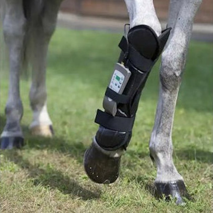 PEMF WRAP FOR FRONT LEG Pulsed Electromagnetic Field Therapy For Horses - Arumi Companions 