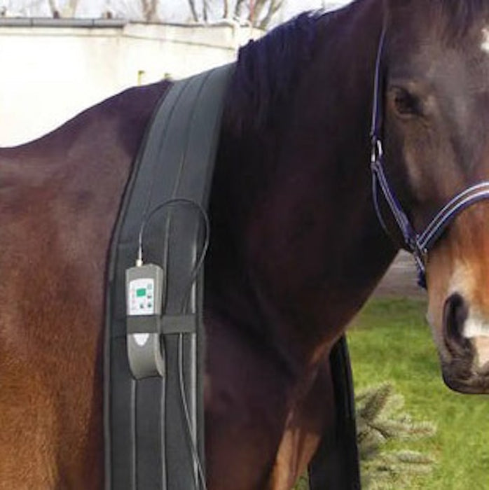 OMI PEMF Full Equine Package - Arumi Companions 