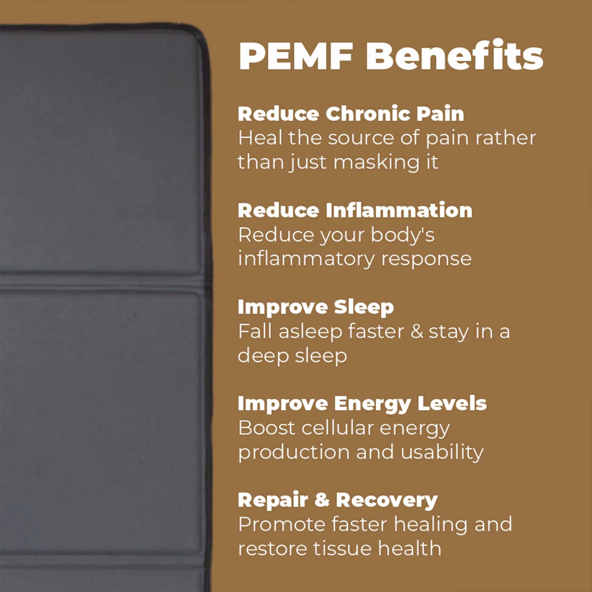 CELLER8 Desktop Biohacker Package TM - Arumi Companions 