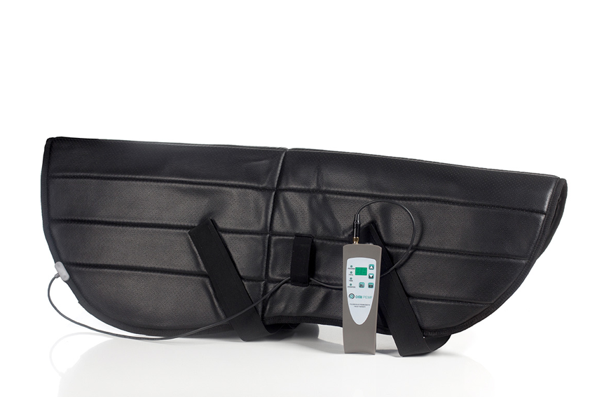 PEMF WRAP FOR NECK Pulsed Electromagnetic Field Therapy For Horses - Arumi Companions 