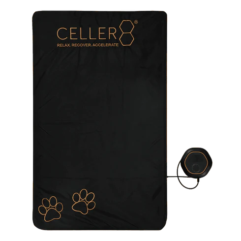 CELLER8® Large Pet Package - Arumi Companions 