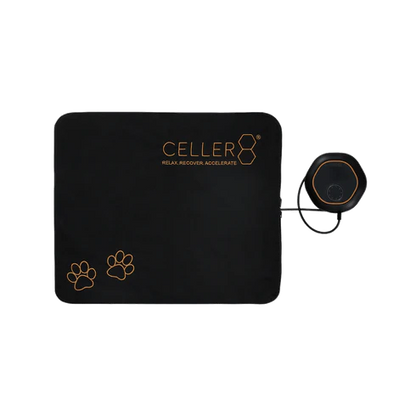 CELLER8® Small Pet Package - Arumi Companions 