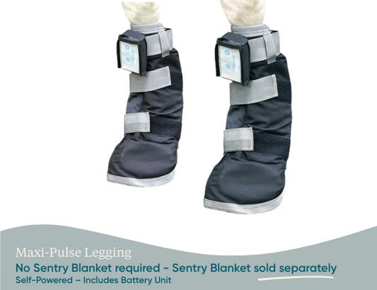 Equine PEMF Leggings/Hoof Coil