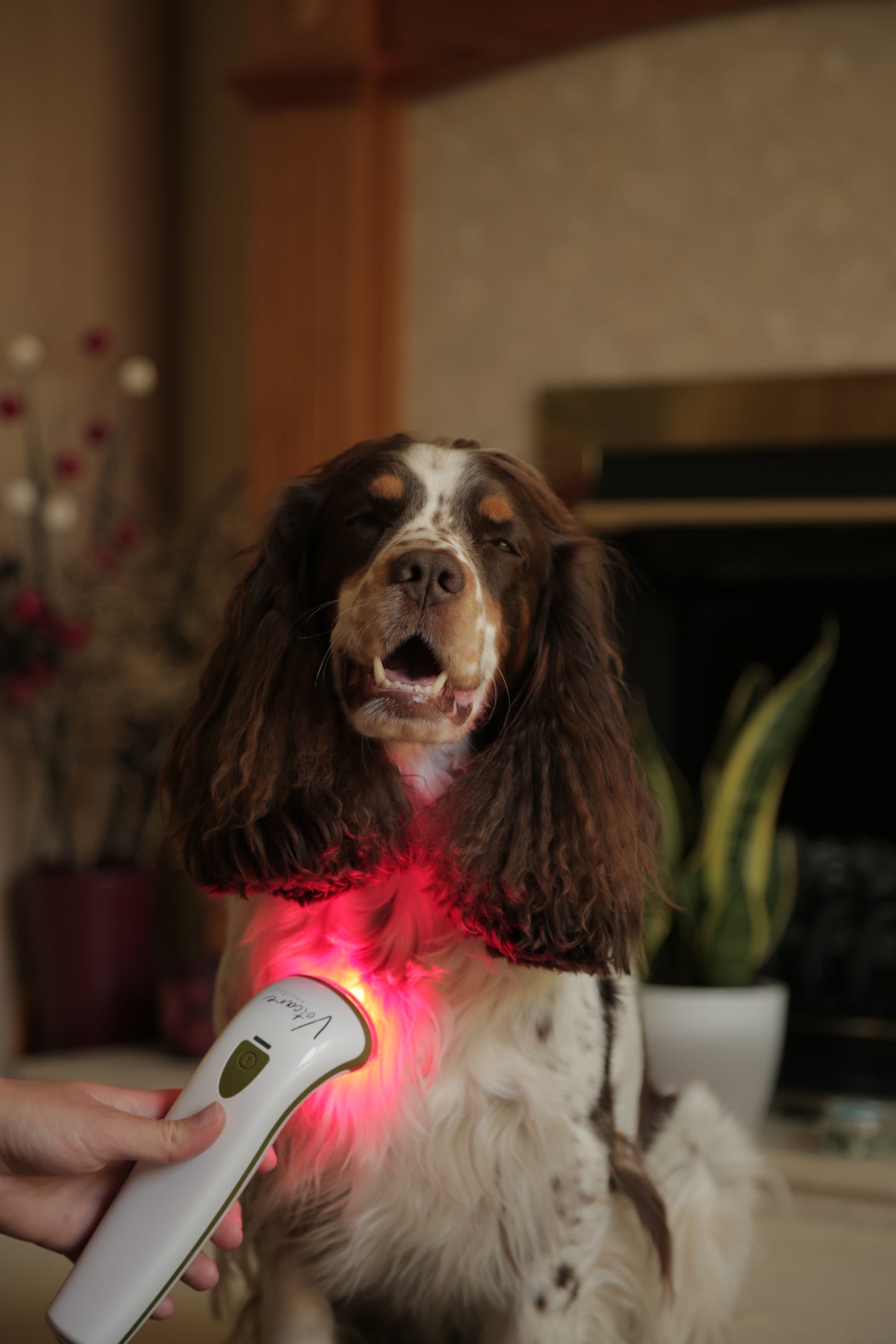 Photizo Vetcare Hand-Held Silent Red-Light Therapy Device