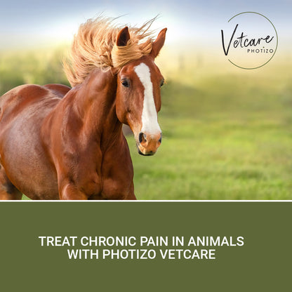 Photizo Vetcare Hand-Held Silent Red-Light Therapy Device