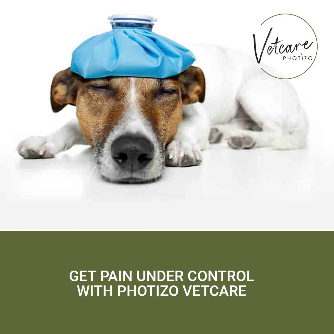 Photizo Vetcare Hand-Held Silent Red-Light Therapy Device