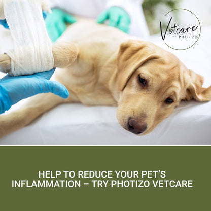 Photizo Vetcare Hand-Held Silent Red-Light Therapy Device