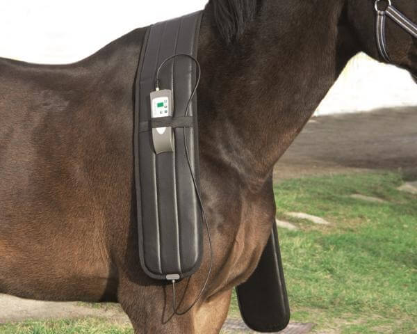 PEMF BAND FOR SHOULDER Pulsed Electromagnetic Field Therapy For Horses - Arumi Companions 