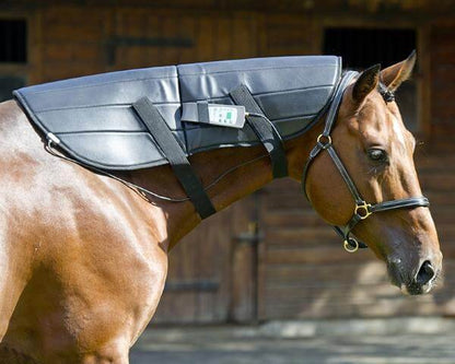 PEMF WRAP FOR NECK Pulsed Electromagnetic Field Therapy For Horses - Arumi Companions 