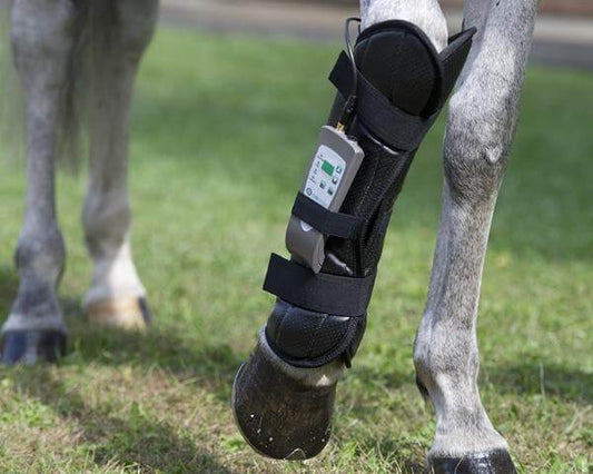 OMI PEMF WRAP FOR FRONT LEG Pulsed Electromagnetic Field Therapy For Horses - Arumi Companions 