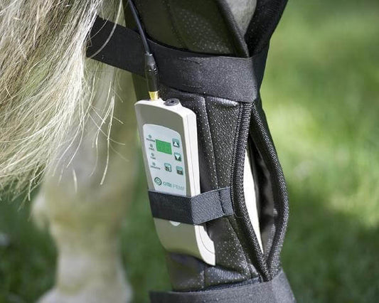 PEMF WRAP FOR REAR LEG Pulsed Electromagnetic Field Therapy For Horses - Arumi Companions 