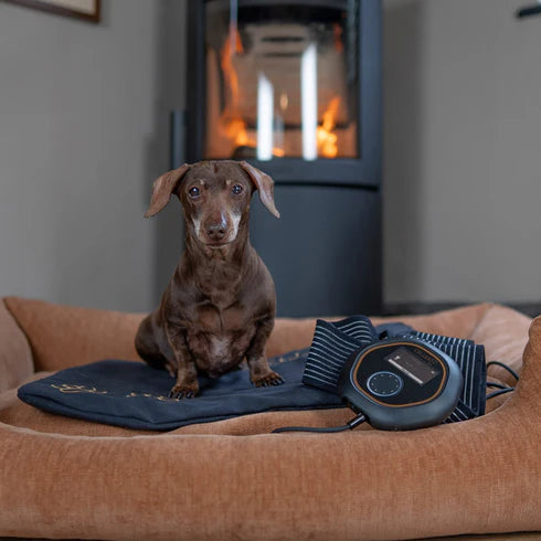 CELLER8® Small Pet Package - Arumi Companions 